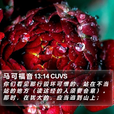 马 可 福 音 13:14 CUVS Bible Verse Image