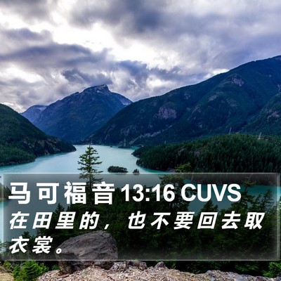马 可 福 音 13:16 CUVS Bible Verse Image