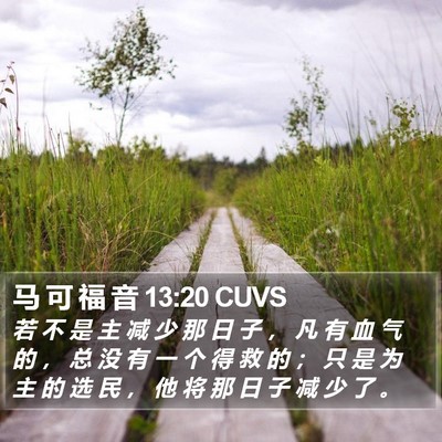 马 可 福 音 13:20 CUVS Bible Verse Image