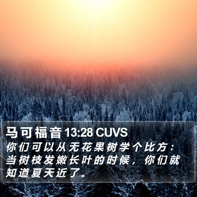 马 可 福 音 13:28 CUVS Bible Verse Image
