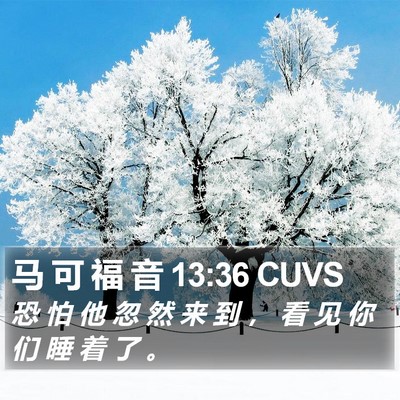 马 可 福 音 13:36 CUVS Bible Verse Image