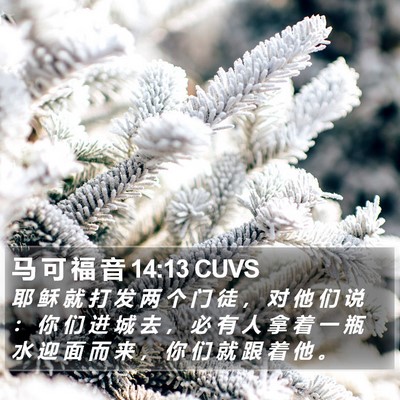 马 可 福 音 14:13 CUVS Bible Verse Image