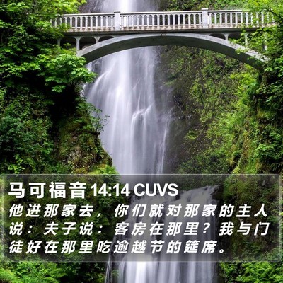 马 可 福 音 14:14 CUVS Bible Verse Image