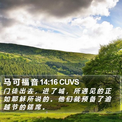 马 可 福 音 14:16 CUVS Bible Verse Image