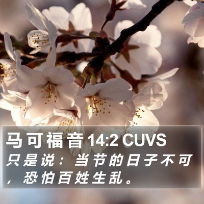 马 可 福 音 14:2 CUVS Bible Verse Image