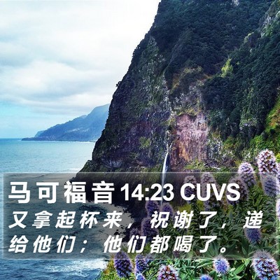 马 可 福 音 14:23 CUVS Bible Verse Image