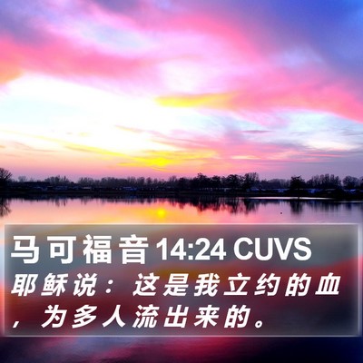马 可 福 音 14:24 CUVS Bible Verse Image