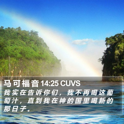 马 可 福 音 14:25 CUVS Bible Verse Image