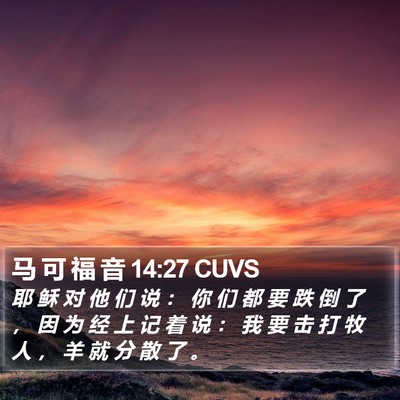 马 可 福 音 14:27 CUVS Bible Verse Image