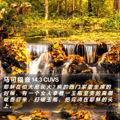 马 可 福 音 14:3 CUVS Bible Verse Image