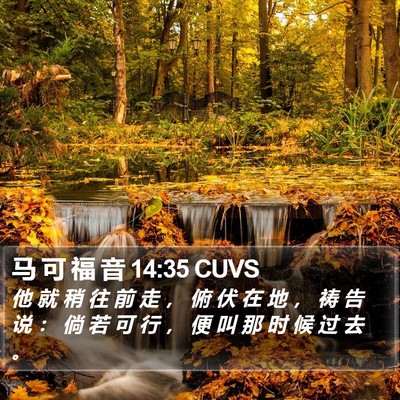 马 可 福 音 14:35 CUVS Bible Verse Image