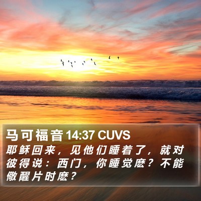 马 可 福 音 14:37 CUVS Bible Verse Image