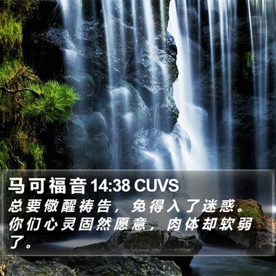 马 可 福 音 14:38 CUVS Bible Verse Image