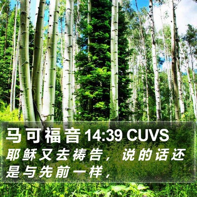 马 可 福 音 14:39 CUVS Bible Verse Image