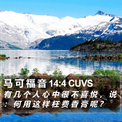 马 可 福 音 14:4 CUVS Bible Verse Image