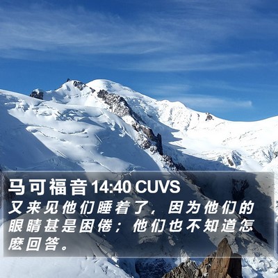 马 可 福 音 14:40 CUVS Bible Verse Image