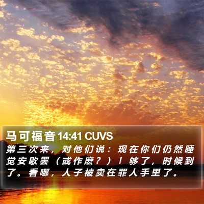 马 可 福 音 14:41 CUVS Bible Verse Image