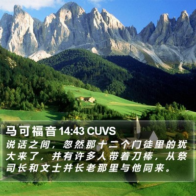 马 可 福 音 14:43 CUVS Bible Verse Image
