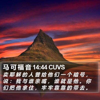 马 可 福 音 14:44 CUVS Bible Verse Image