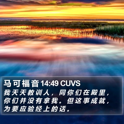 马 可 福 音 14:49 CUVS Bible Verse Image