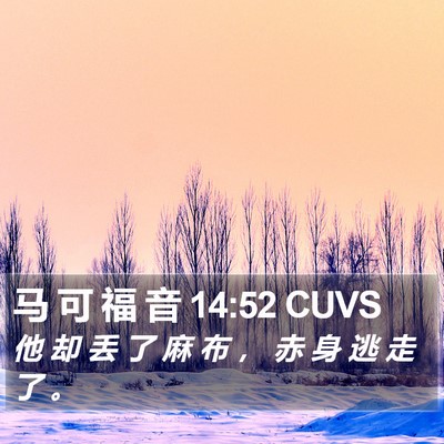 马 可 福 音 14:52 CUVS Bible Verse Image