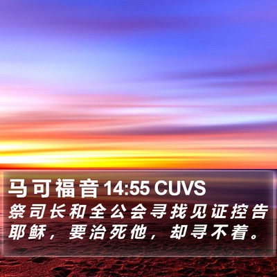 马 可 福 音 14:55 CUVS Bible Verse Image
