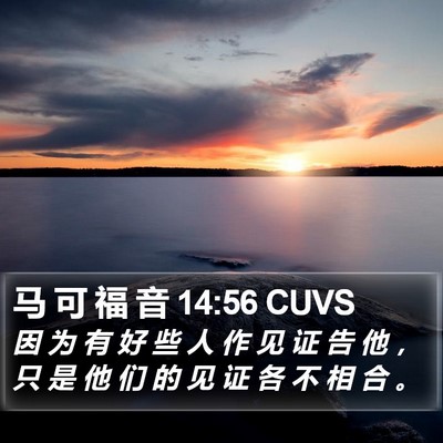 马 可 福 音 14:56 CUVS Bible Verse Image