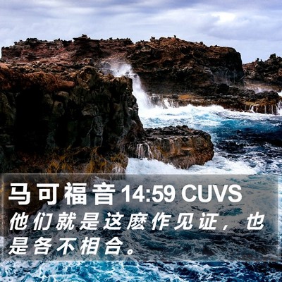 马 可 福 音 14:59 CUVS Bible Verse Image