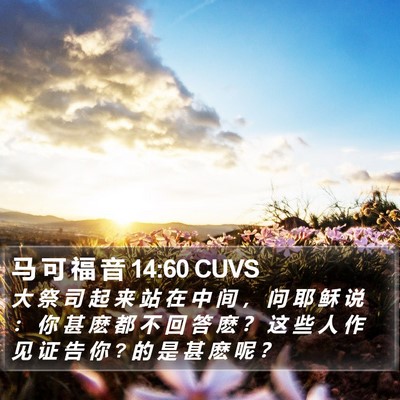 马 可 福 音 14:60 CUVS Bible Verse Image