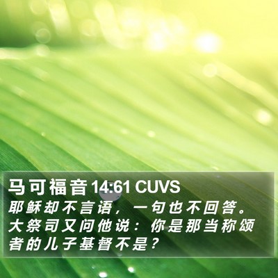 马 可 福 音 14:61 CUVS Bible Verse Image