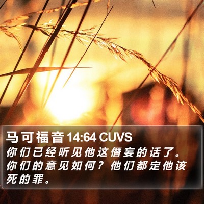 马 可 福 音 14:64 CUVS Bible Verse Image