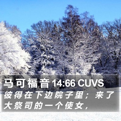马 可 福 音 14:66 CUVS Bible Verse Image