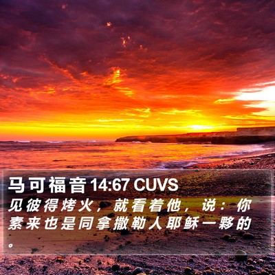 马 可 福 音 14:67 CUVS Bible Verse Image