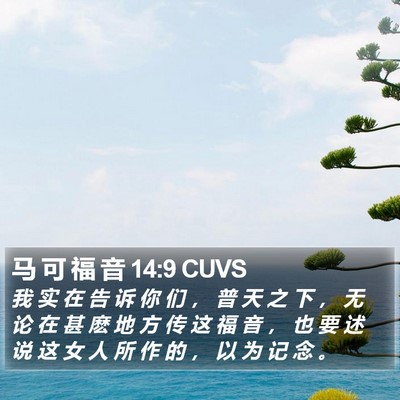 马 可 福 音 14:9 CUVS Bible Verse Image