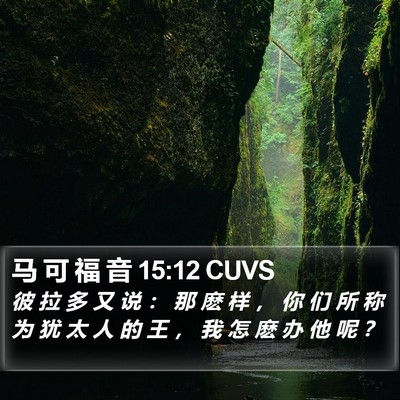 马 可 福 音 15:12 CUVS Bible Verse Image