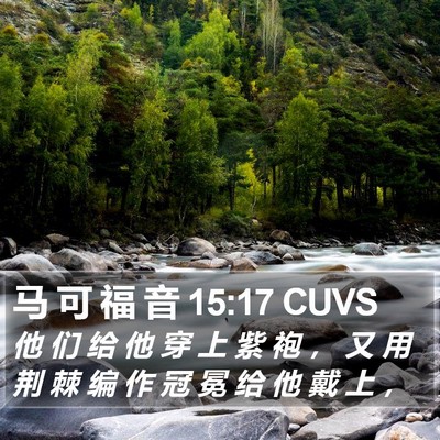 马 可 福 音 15:17 CUVS Bible Verse Image