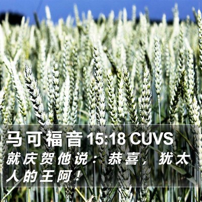 马 可 福 音 15:18 CUVS Bible Verse Image