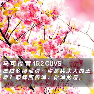 马 可 福 音 15:2 CUVS Bible Verse Image
