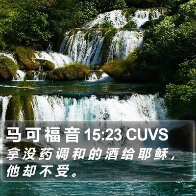 马 可 福 音 15:23 CUVS Bible Verse Image
