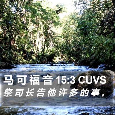 马 可 福 音 15:3 CUVS Bible Verse Image