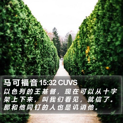 马 可 福 音 15:32 CUVS Bible Verse Image