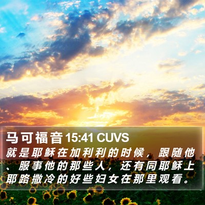 马 可 福 音 15:41 CUVS Bible Verse Image