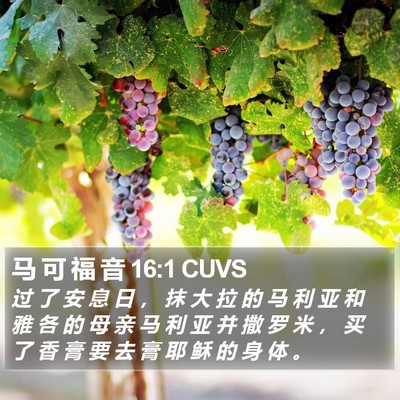 马 可 福 音 16:1 CUVS Bible Verse Image