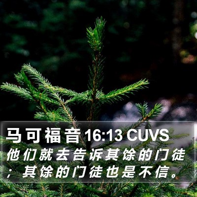 马 可 福 音 16:13 CUVS Bible Verse Image