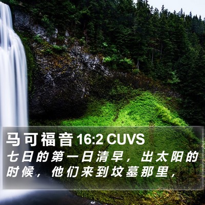 马 可 福 音 16:2 CUVS Bible Verse Image