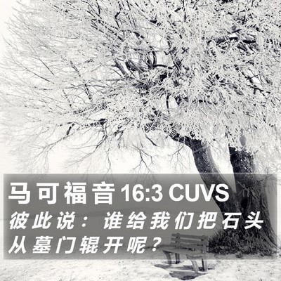 马 可 福 音 16:3 CUVS Bible Verse Image