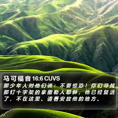 马 可 福 音 16:6 CUVS Bible Verse Image