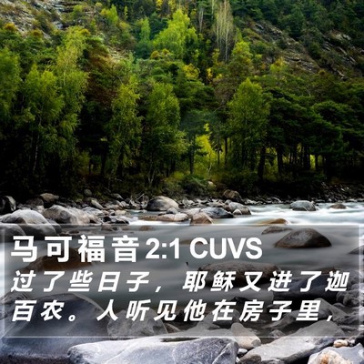 马 可 福 音 2:1 CUVS Bible Verse Image