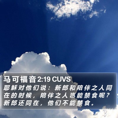马 可 福 音 2:19 CUVS Bible Verse Image