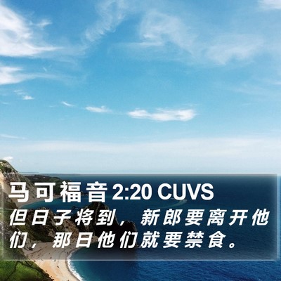 马 可 福 音 2:20 CUVS Bible Verse Image